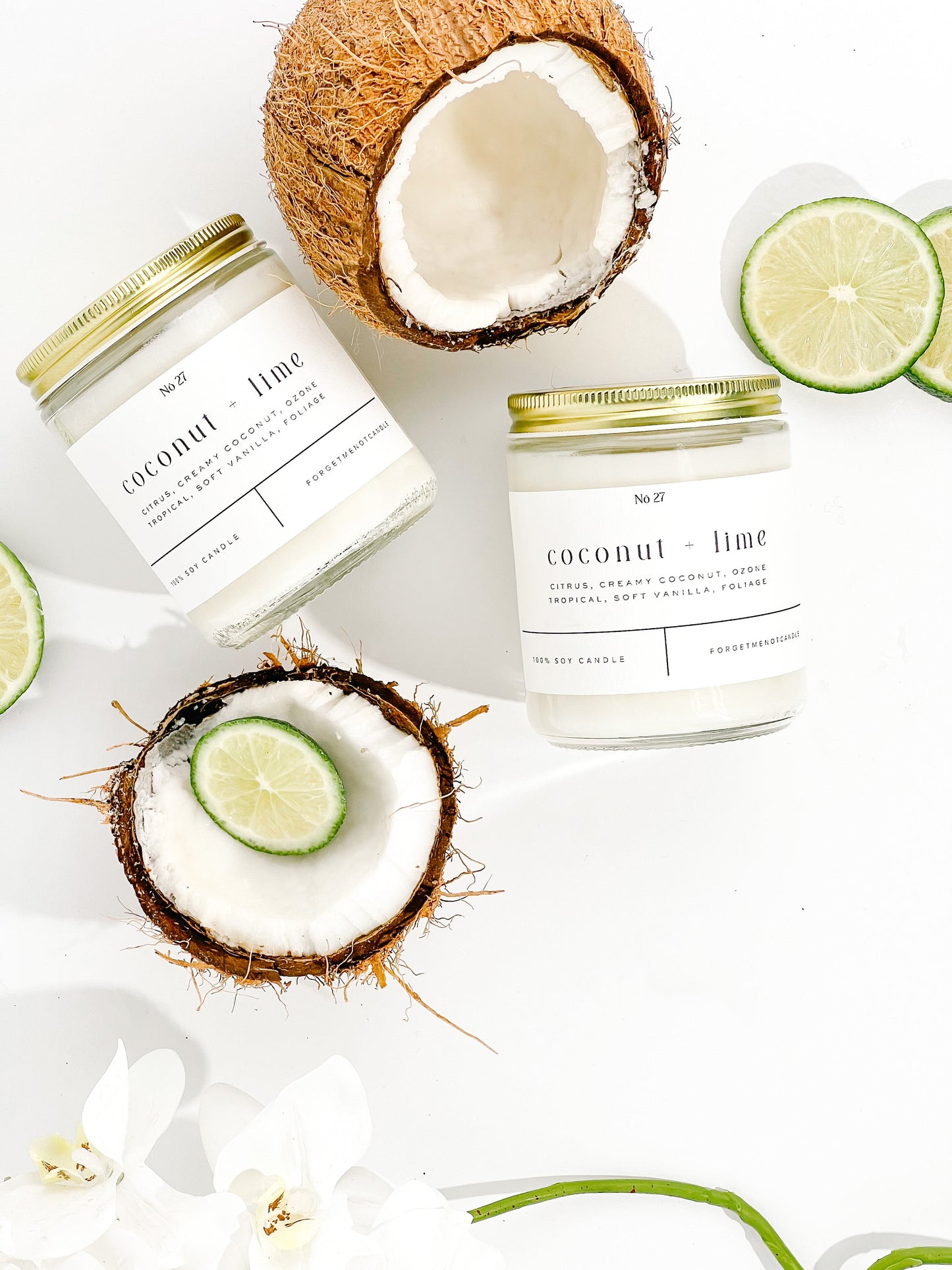 Coconut + Lime 9 oz Glass Candle - Sold as Case of 12