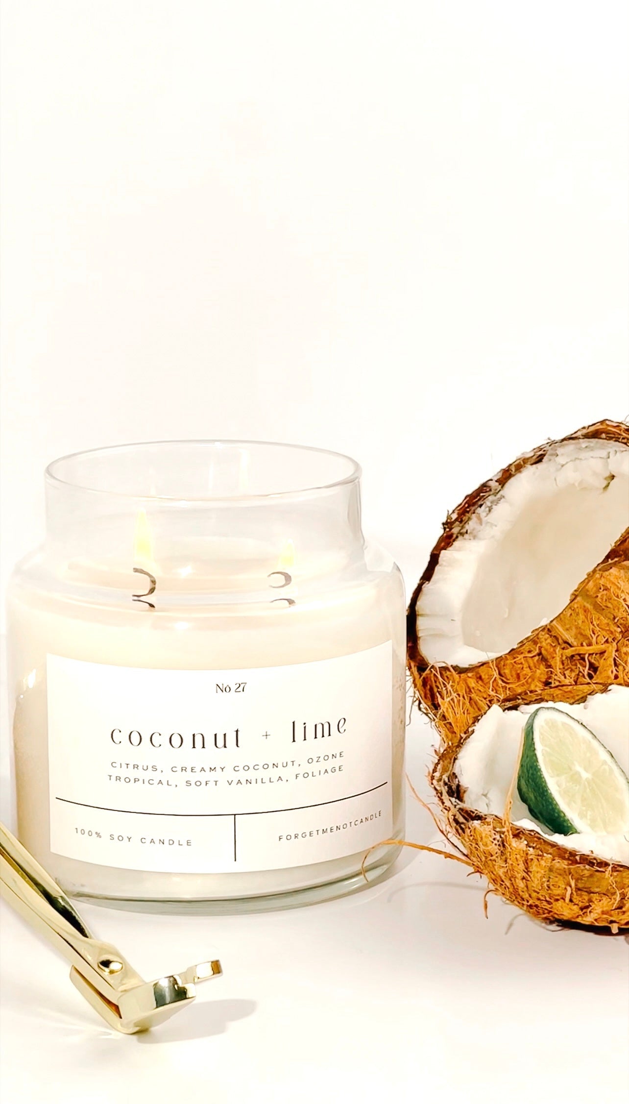 Coconut + Lime 22 oz Glass Candle – Sold as a Case Of 3