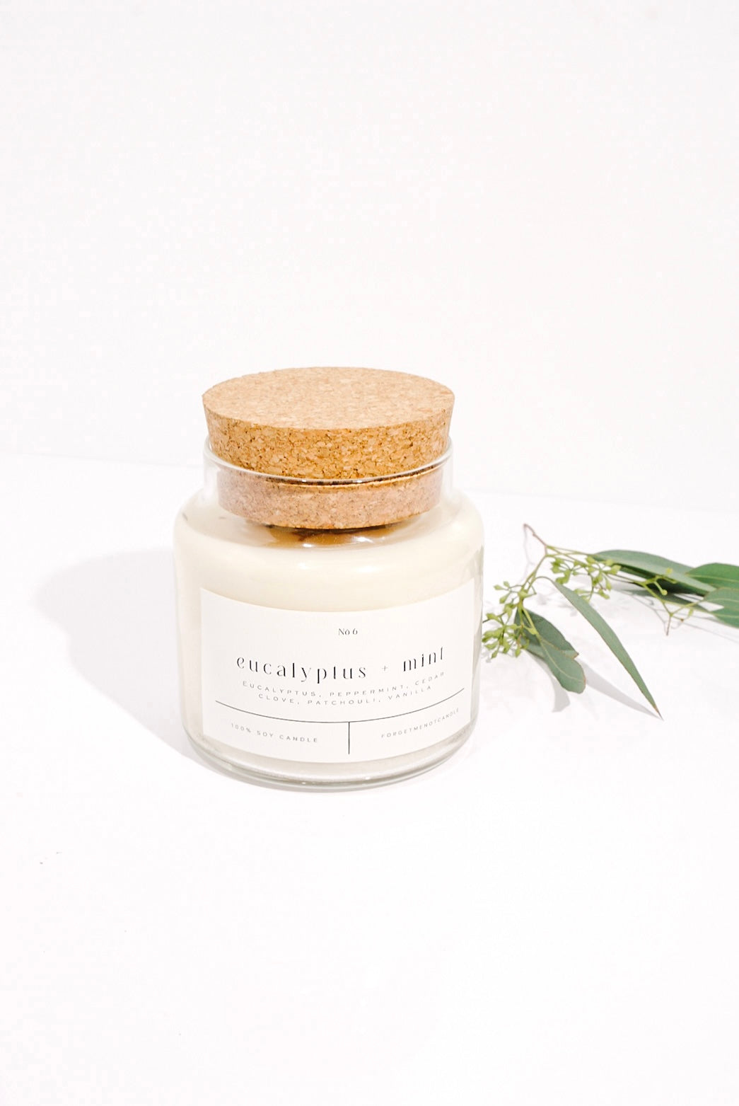Eucalyptus + Mint 22 oz Glass Candle – Sold as Case of 6